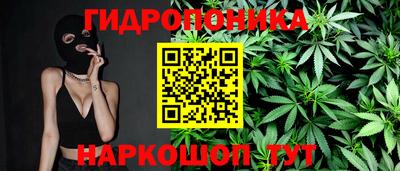 гидра Обь