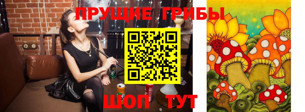 Галлюциногенные грибы MAGIC MUSHROOMS  Вход с VPN  Соль-Илецк 